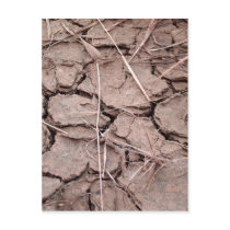 dry soil / crack earth postcards by naturelife dry soil / crack earth postcards