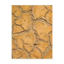 dry soil / crack earth postcards by naturelife dry soil / crack earth postcards