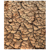 dry soil / crack earth t-shirts by naturelife dry soil / crack earth t-shirts
