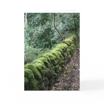 Dry stone wall covered in Moss cards by jimread Dry stone wall covered in Moss cards