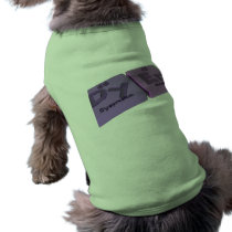 Dryer as Dy Dysprosium and Er Erbium Pet Tshirt