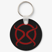 DS Keychain