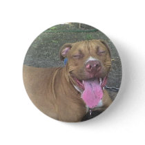 DSC00002  AMerican Pitbull Terrier Pins
