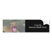 DSC00002,  I Love My American Pitbull Terrier Bumper Sticker