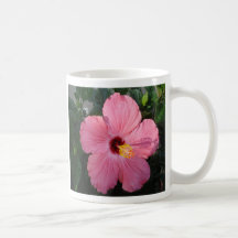 DSC00009_6, hibiscus, noun, pl.-cus or - cuses.... Coffee Mugs