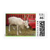 DSC00010 , Merry Christmas postage