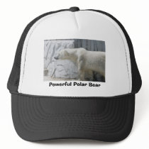 DSC00050, Powerful Polar Bear hats