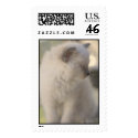 _DSC0005 postage