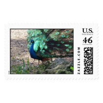 DSC00088.jpg postage