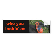 DSC00171, who you lookin' at bumper stickers by shalla DSC00171, who you lookin' at bumper stickers