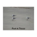DSC00196, Port A Texas postcards