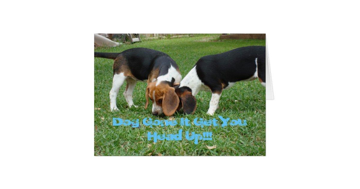 DSC00268, Dog Gone It Card Zazzle