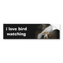 DSC00354, i love bird watching bumper stickers by shalla DSC00354, i love bird watching bumper stickers