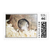 DSC00414 postage by trixster1968 DSC00414 postage