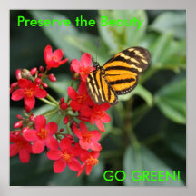 DSC00452, Preserve the Beauty, GO GREEN! Poster