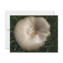 DSC00459mushroom invitations