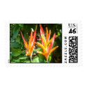 DSC004731 postage by mmmacon DSC004731 postage