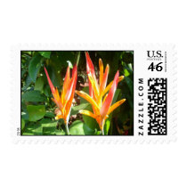DSC004731 postage by mmmacon DSC004731 postage