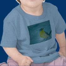DSC00519_edited t-shirts