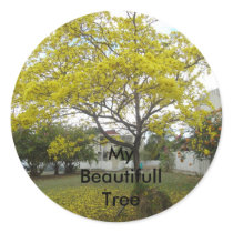 DSC00716, My Beautifull Tree stickers by londiann DSC00716, My Beautifull Tree stickers