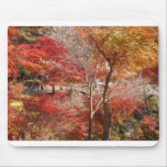 DSC00862 mousepads