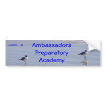DSC01051, Ambassadors Preparatory Academy, (409... Bumper Stickers