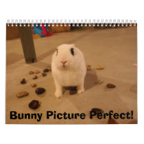 DSC01066, Bunny Picture Perfect! calendars by JustAStar4U DSC01066, Bunny Picture Perfect! calendars