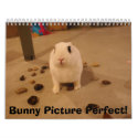 DSC01066, Bunny Picture Perfect! calendars by JustAStar4U DSC01066, Bunny Picture Perfect! calendars