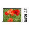 DSC01494, Poppies postage by shanbun DSC01494, Poppies postage