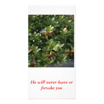 DSC01557 (2), He will never leave or forsake you photo cards by unicornsplace DSC01557 (2), He will never leave or forsake you photo cards