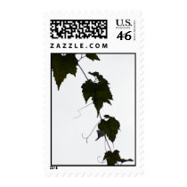 DSC01611 postage by shalla DSC01611 postage
