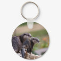 DSC01750 keychains