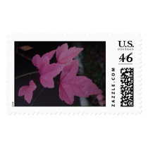 DSC02372 postage