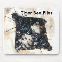 DSC03151, Bee Flies mousepads