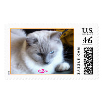 DSC03669b, <:3~ postage