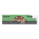 DSC03824, Frog for, President... bumper stickers by jackieandrews72 DSC03824, Frog for, President... bumper stickers