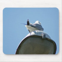 DSC08615 flickr mousepads by shalla DSC08615 flickr mousepads