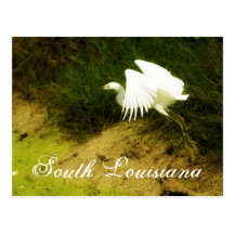 DSC08779bb, South Louisiana Post Card