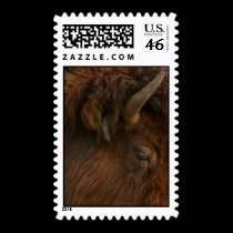 _DSC1341_tc stamps