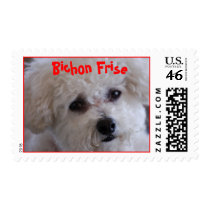 DSC_0060, Bichon Frise postage
