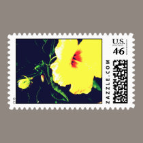 DSC_0122 postage