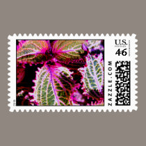 DSC_0166 postage