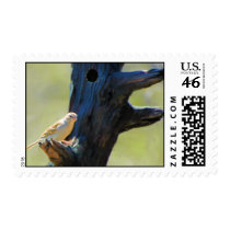 DSC_0176CUB_Painting-PS Postage