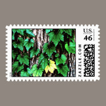 DSC_0184 postage