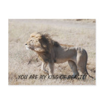 DSC_0233, YOU ARE MY KING OF BEASTS! POSTCARD