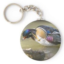 DSC_0249 copy Key Chains