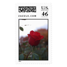 DSC_0256 POSTAGE STAMP