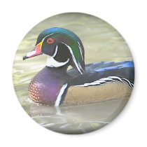 DSC_0295 FRIDGE MAGNET
