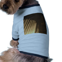 DSC_0319 PET CLOTHES