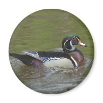 DSC_0415 FRIDGE MAGNET